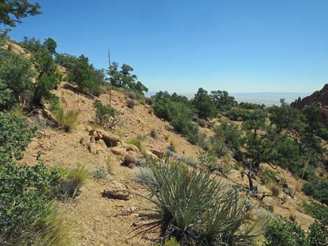 Billy Goat Peak