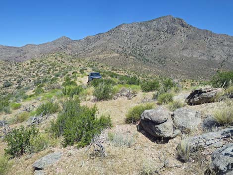 Billy Goat Peak