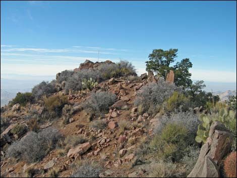 Billy Goat Peak