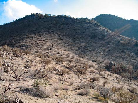 billy goat hike