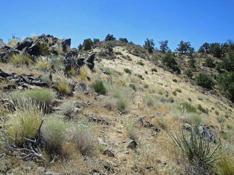 Billy Goat Peak