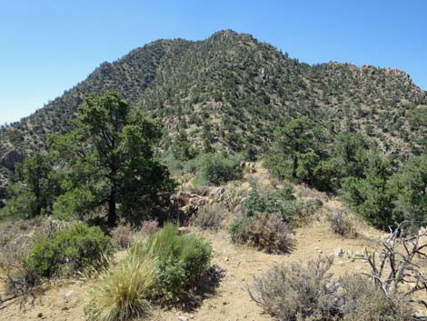 Billy Goat Peak