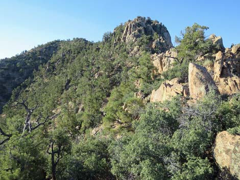 Billy Goat Peak