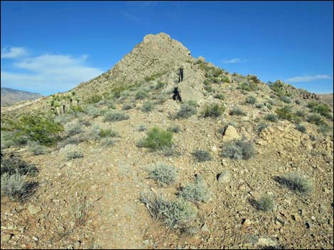 Black Butte Peak