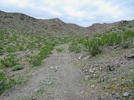 Black Ridge Mine