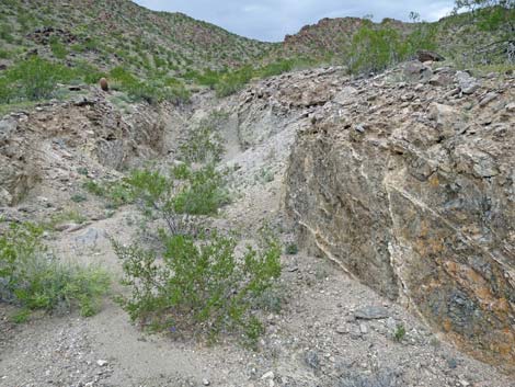 Black Ridge Mine