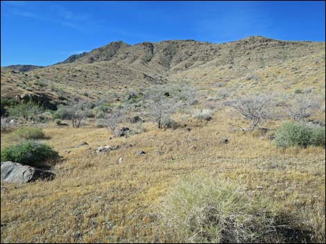 Bonelli Peak