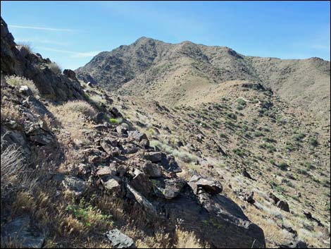 Bonelli Peak