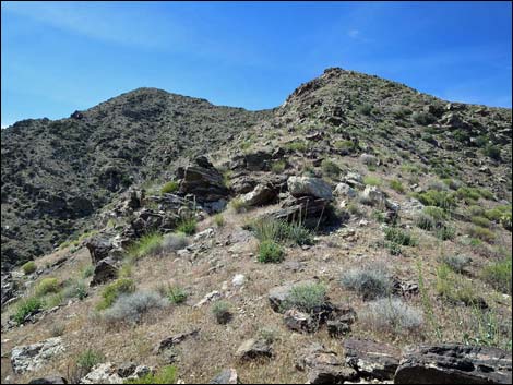 Bonelli Peak