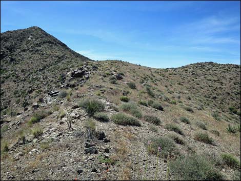 Bonelli Peak