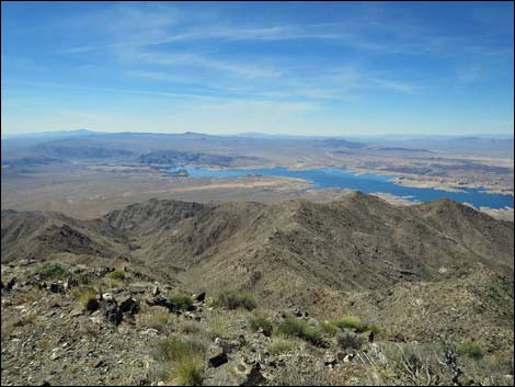 Bonelli Peak