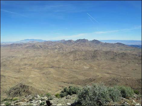 Bonelli Peak