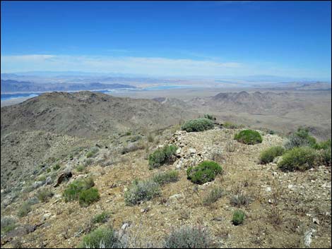 Bonelli Peak