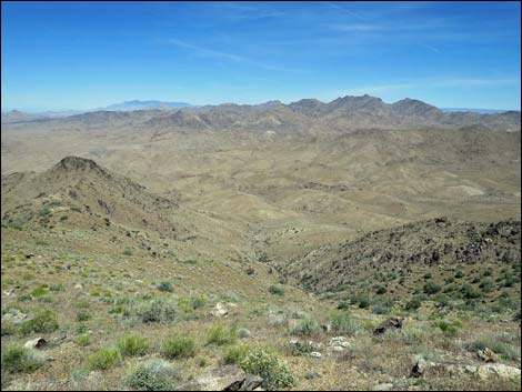 Bonelli Peak