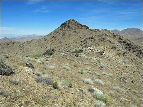 Bonelli Peak