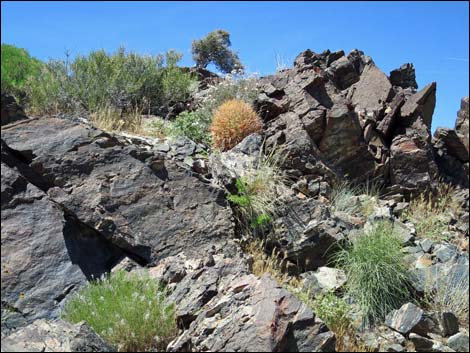 Bonelli Peak