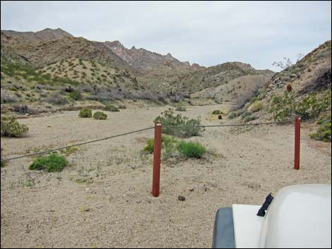 Cottonwood Canyon