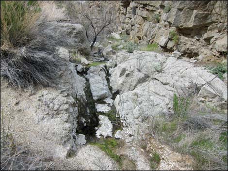 Cottonwood Canyon