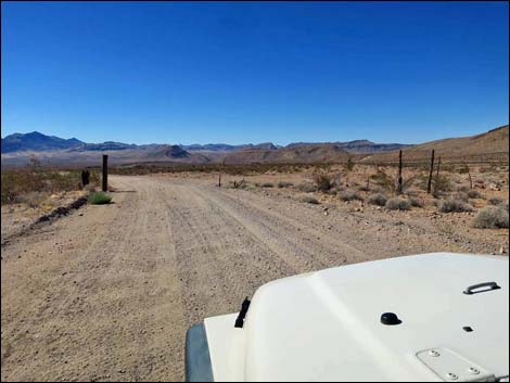 Cattleguard Campsite