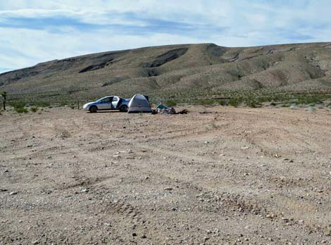 Cattleguard Campsite