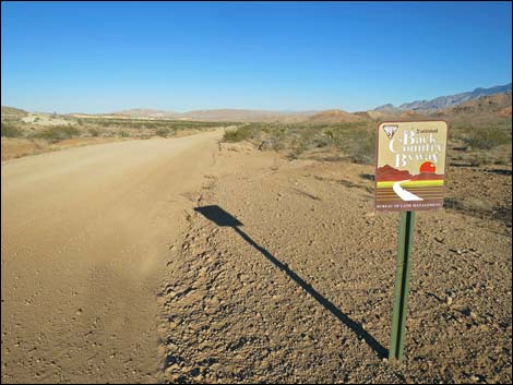 Wellhead Campsite