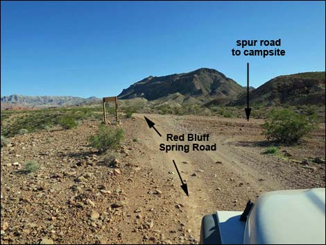 Red Bluff Spring Overlook Campsite