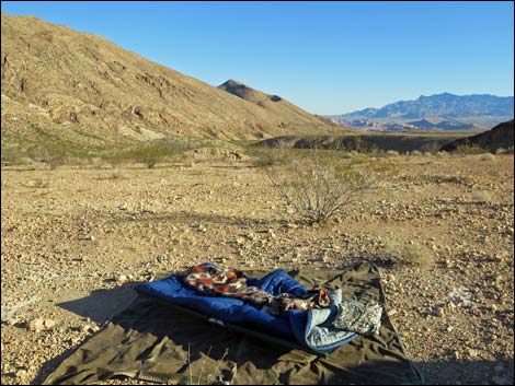 Red Bluff Spring Road Saddle Campsite