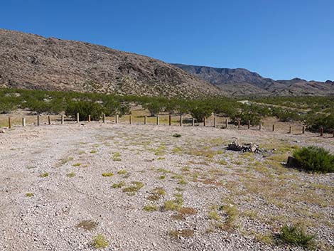 Whitney Pass Road Campsites