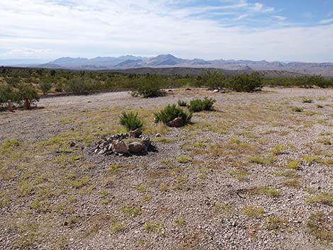 Whitney Pass Road Campsites