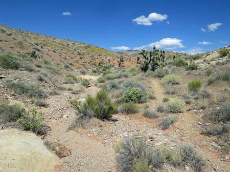 Doodlebug Arch