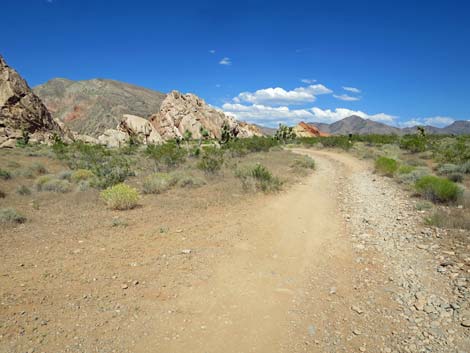 Doodlebug Arch