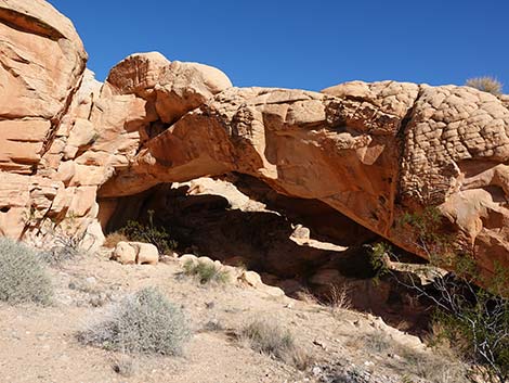 Doodlebug Arch