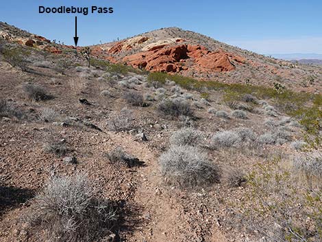 Doodlebug Canyon