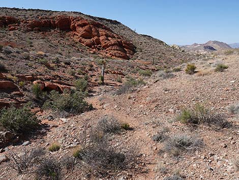 Doodlebug Canyon