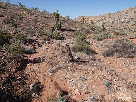 Doodlebug Canyon