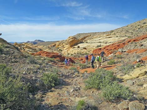 Doodlebug Arch