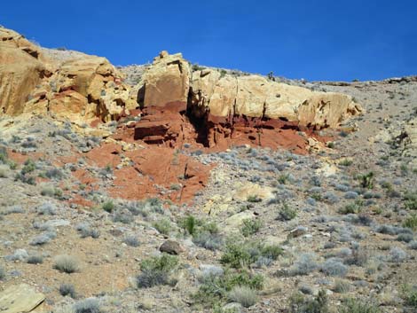 Doodlebug Arch