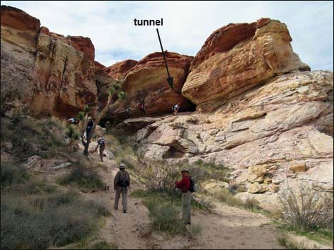 Falling Man Rock Art Site