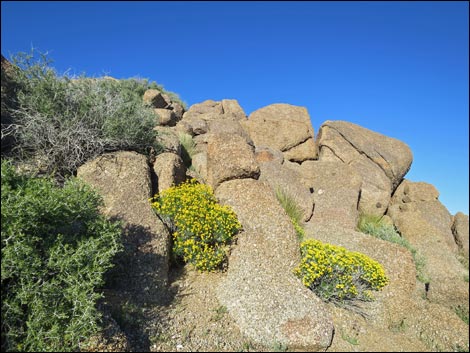 gold butte peak