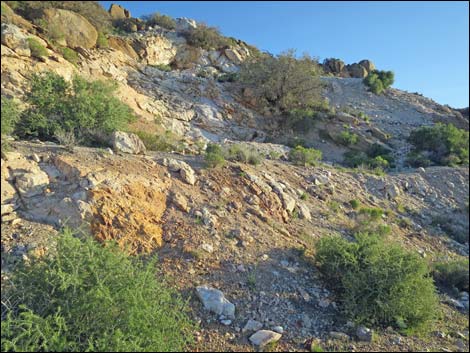 Gold Butte Peak