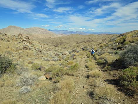 Gold Butte Peak