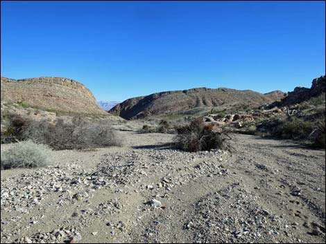 Garden Canyon