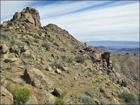 Jumbo Springs Wilderness Area