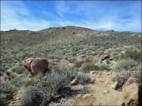 Jumbo Springs Wilderness Area