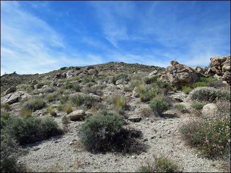 Jumbo Springs Wilderness Area