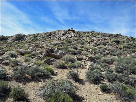 Jumbo Springs Wilderness Area