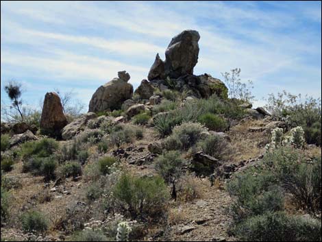 Jumbo Springs Wilderness Area