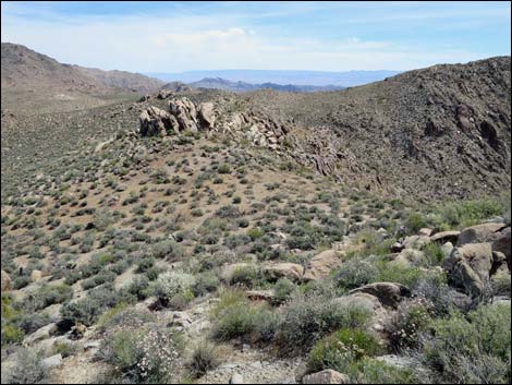 Jumbo Springs Wilderness Area