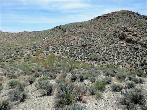 Jumbo Springs Wilderness