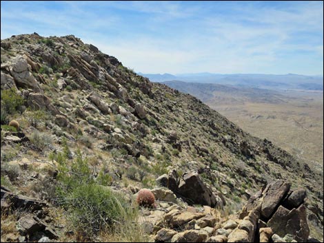 Jumbo Springs Wilderness